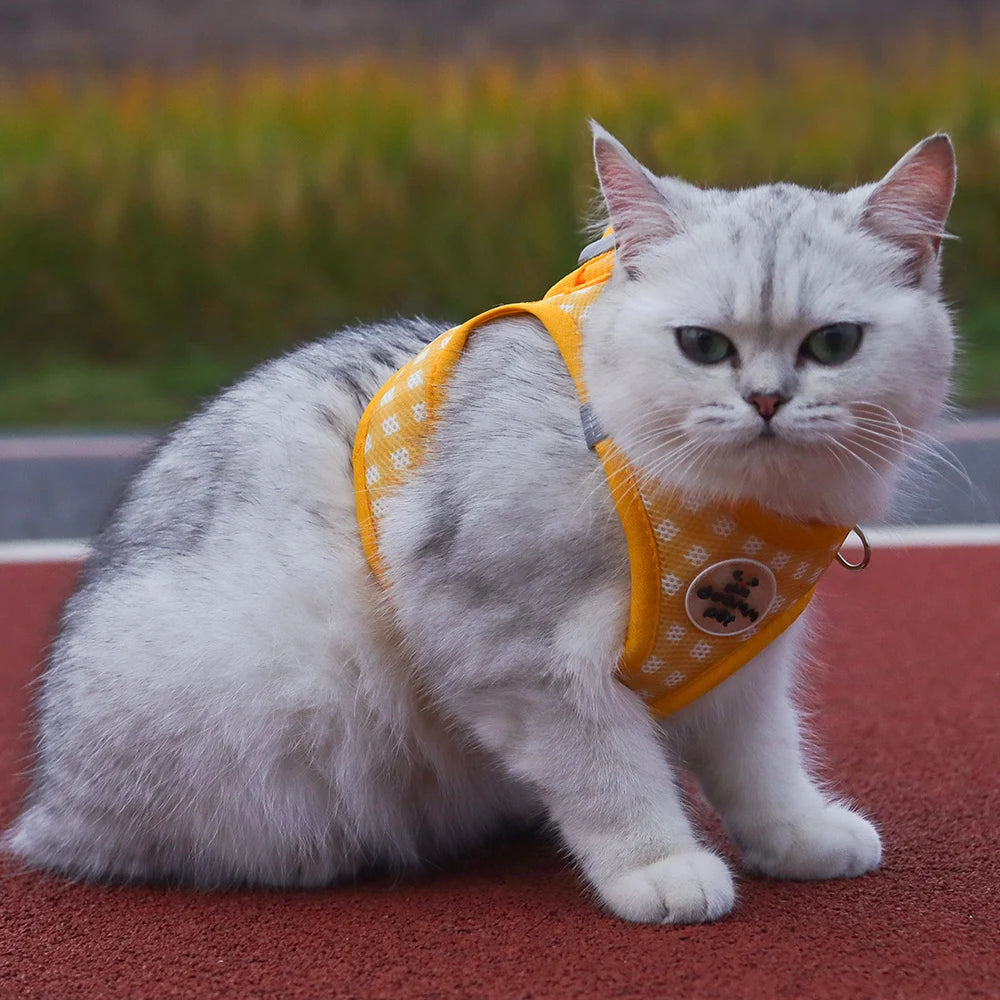 Kitten chest Strap Fresh plaid kitten leash anti-break Adjustable reflective pet chest strap Small dog kitten chest back