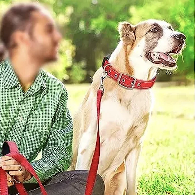 Padded Dog Collars for small Medium large Dogs Reflective Wide Pet Collars Adjustable Heavy Duty Nylon Neoprene Dog Collar