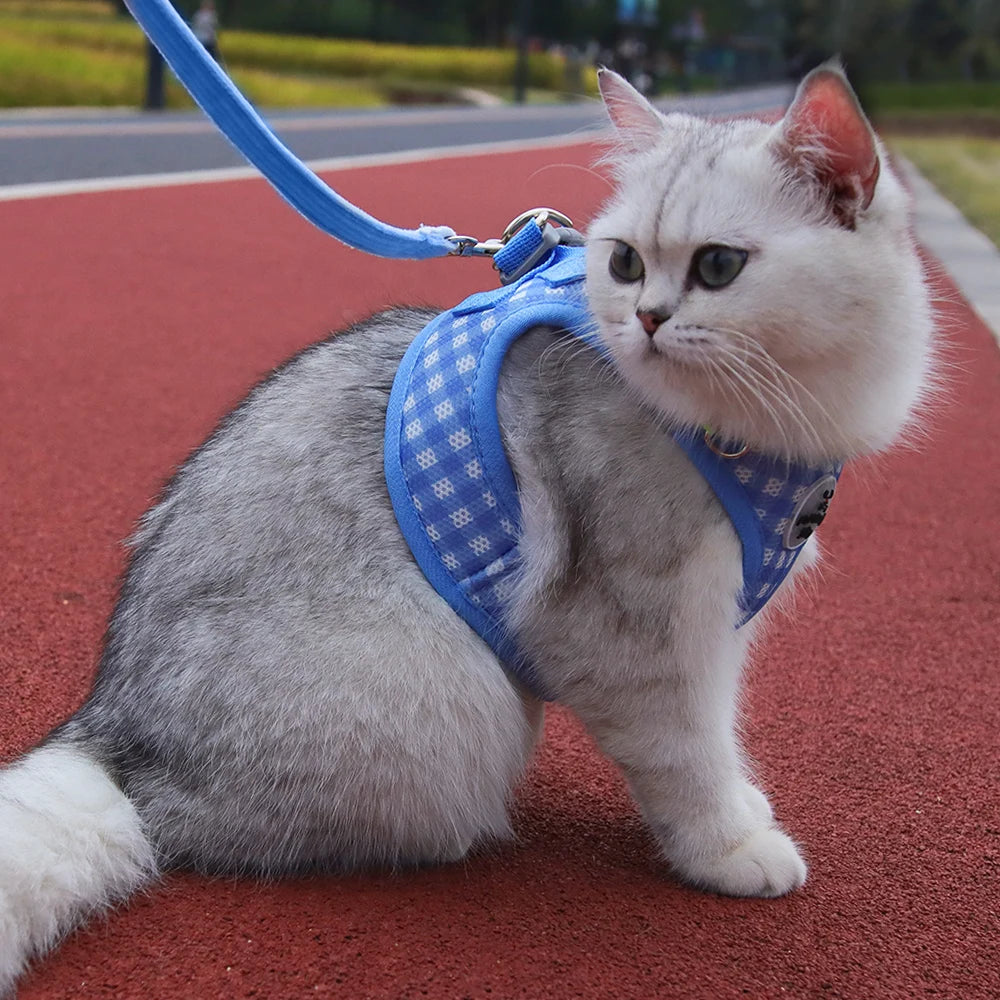Kitten chest Strap Fresh plaid kitten leash anti-break Adjustable reflective pet chest strap Small dog kitten chest back