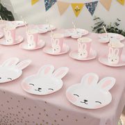 Mori rabbit disposable tableware paper cup dinner plate tablecloth happy birthday party supplies decoration