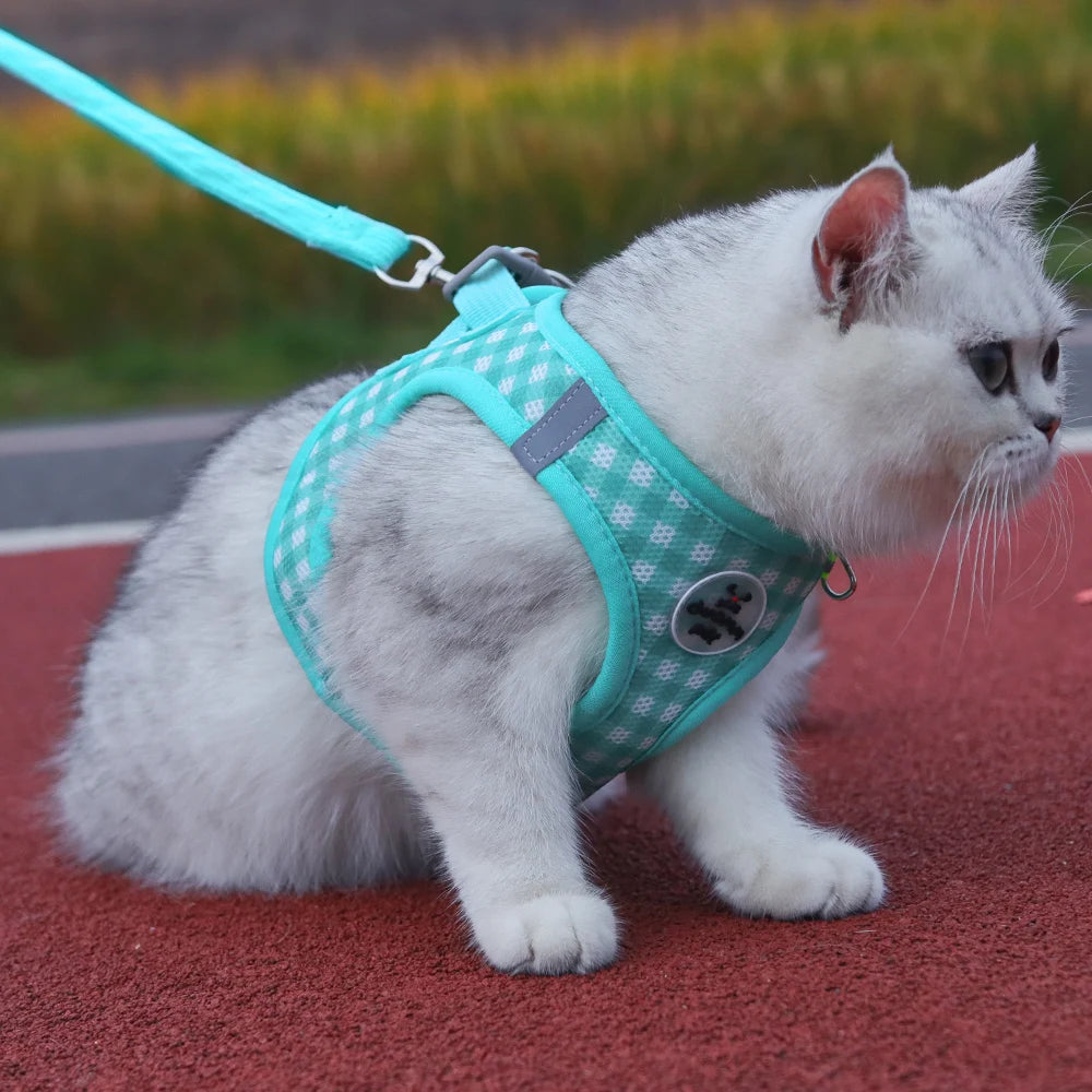 Kitten chest Strap Fresh plaid kitten leash anti-break Adjustable reflective pet chest strap Small dog kitten chest back